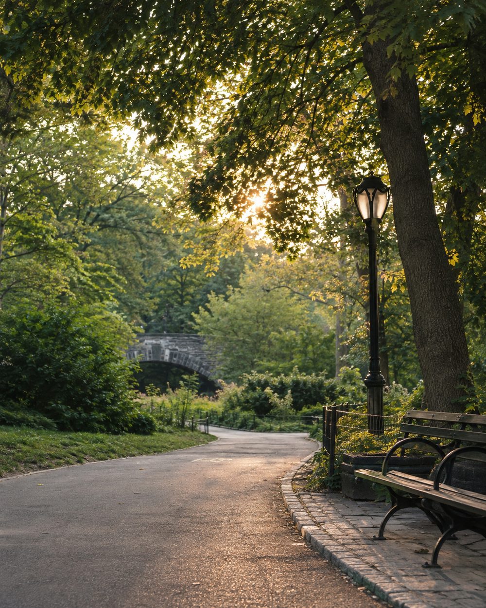A winding path through Prospect Park, Brooklyn, with a stone bridge, lamppost, and park bench at golden hour